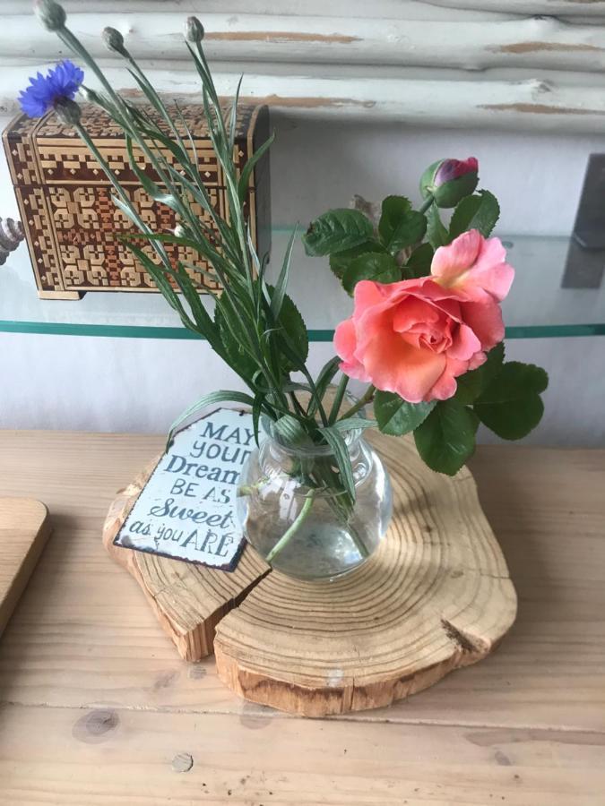 B&B Bij De Zee Centre Of Julianadorp 10 Min From Beaches 외부 사진