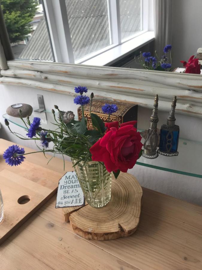 B&B Bij De Zee Centre Of Julianadorp 10 Min From Beaches 외부 사진
