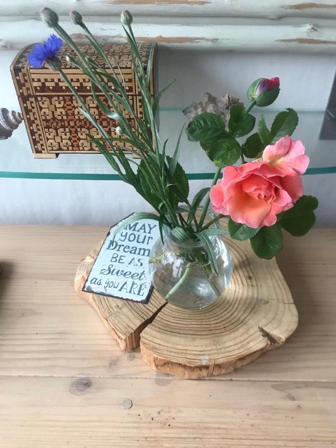 B&B Bij De Zee Centre Of Julianadorp 10 Min From Beaches 외부 사진